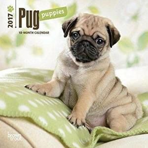 Meet your Posher, Manpreet